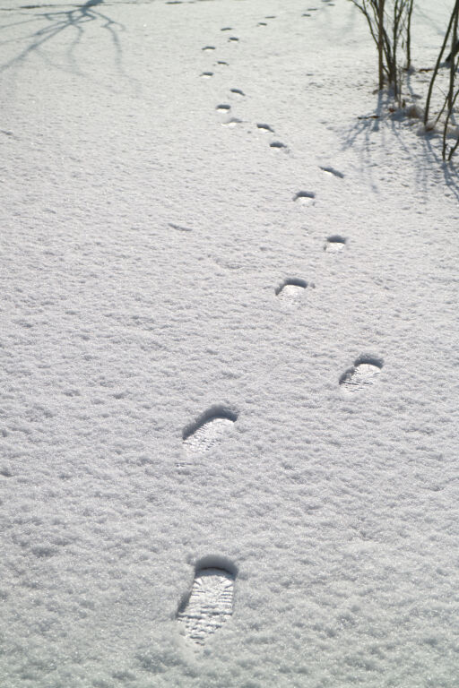 눈 위에 발자욱