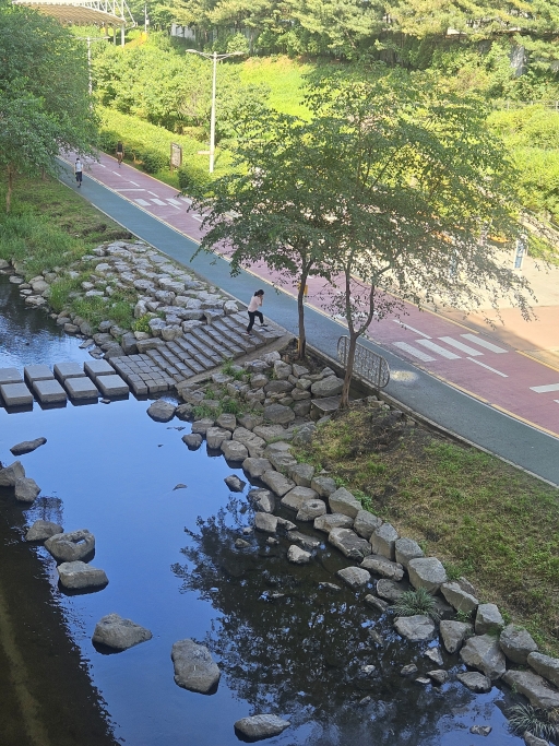 물 위 돌다리
