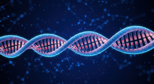 DNA 이중 나선