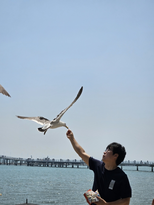 남자가 갈매기를 먹이로 준다.